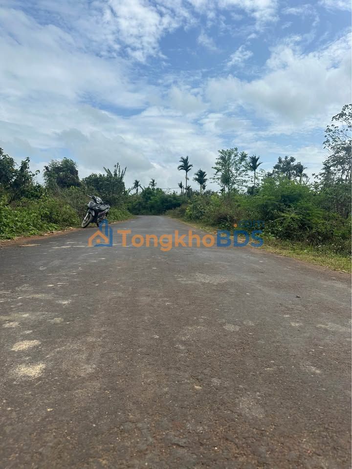 Đất nền Buôn Tăng Ju 300m² 720 triệu - Hạ tầng hoàn thiện