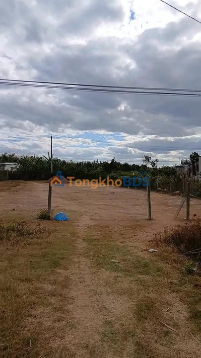 Đất nền Thôn 5 Kon Tum 196m² 700-799 triệu - Đường to ô tô