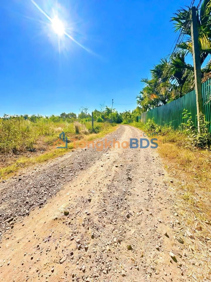 Đất nền Cư Kuin, Đắk Lắk - 222m² Thổ cư, Giá 199 triệu - Tiềm năng sinh lời!