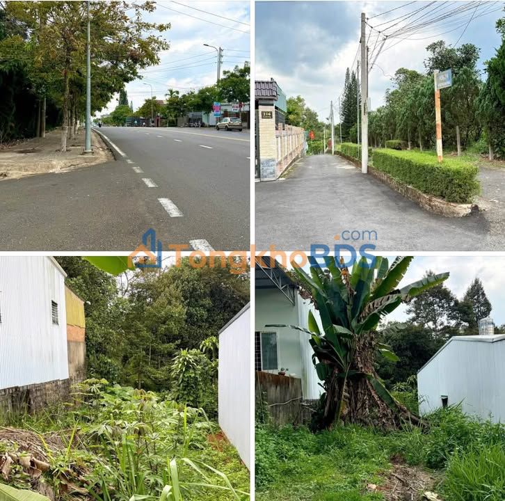 Đất hẻm 214 Phan Đình Phùng Bảo Lộc 126m² 1.3 tỷ - Sổ đỏ chính chủ