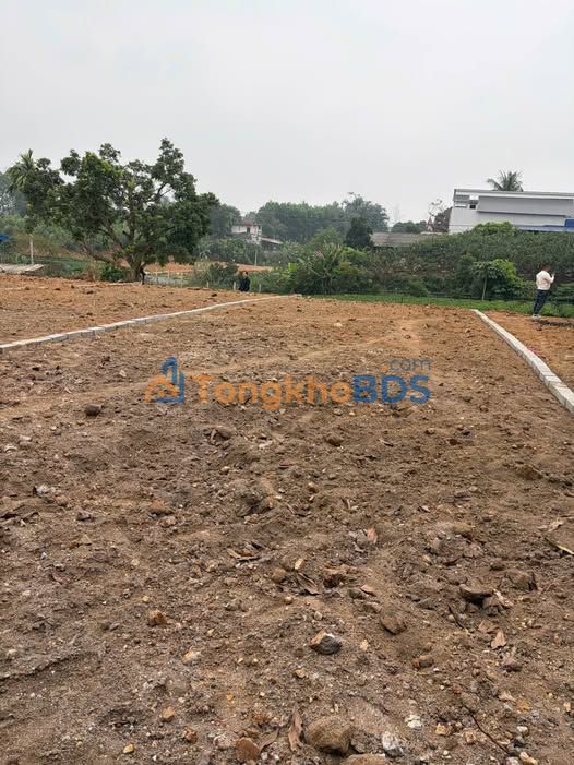 Đất Phục Linh Đại Từ 184m² Sổ Đỏ - Giá Chỉ Từ 4xx Triệu