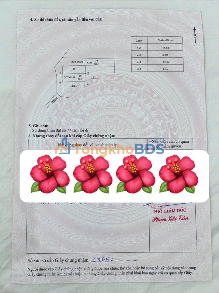 Đất nền Nguyễn Tất Thành 80m² 2,7 tỷ - Đường ô tô