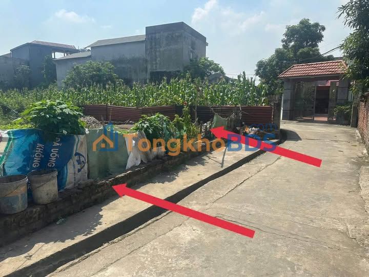 Đất nền Bắc Giang 123m² - Sổ đỏ sẵn, gần KCN QVO3, giá chỉ 1.6 tỷ