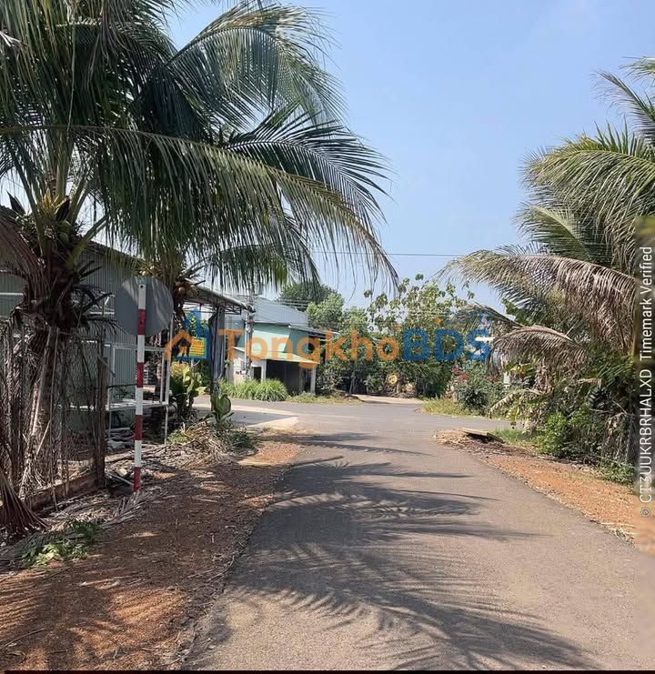 Đất nền Tân An Vĩnh Cửu 1.680m² 160 triệu - Sổ đỏ chính chủ