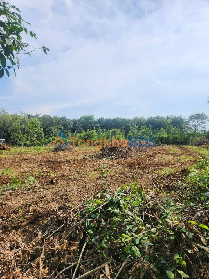 Bán Đất 4680m² Mặt Tiền Đường Thông Huyện Chơn Thành, Bình Phước