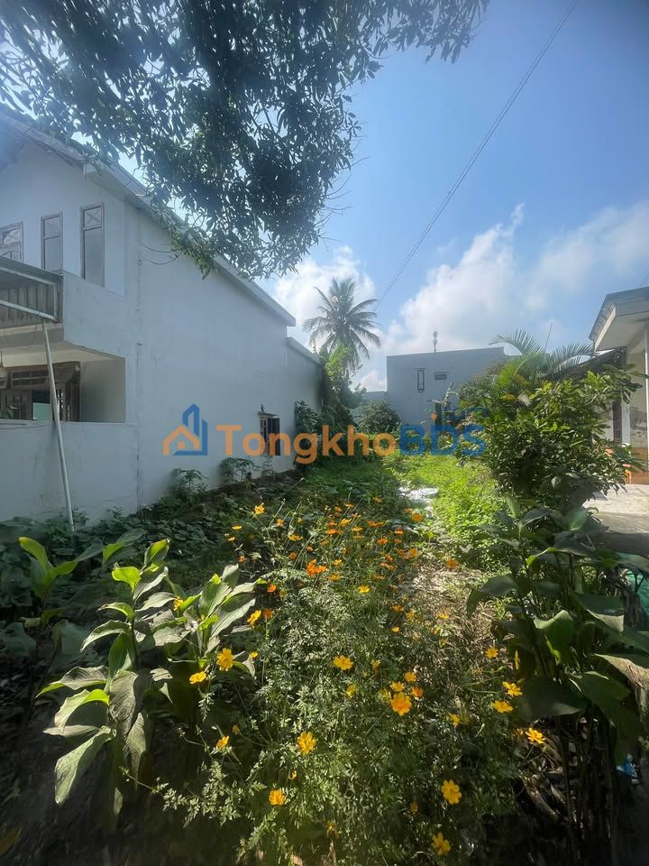 Bán đất Cẩm Toại Đông, Đà Nẵng - 165m², vuông vắn, sát trục chính