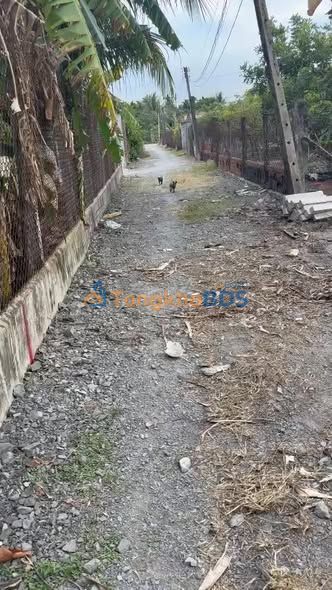 Đất Nền Gò Dầu, Tây Ninh 685m² - Gần KCN Phước Đông, Giá 470 Triệu