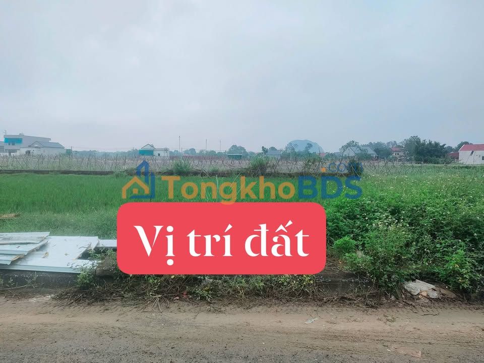 Đất nền 125m² mặt tiền đường 42m tại Triệu Sơn, Thanh Hóa - Giá 8xx triệu
