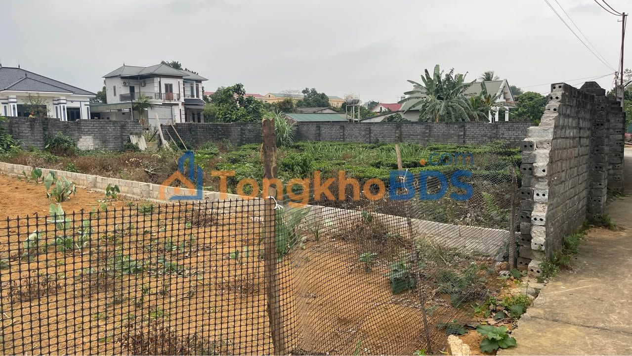Đất nghỉ dưỡng Thôn Bài Ba Vì 300m² – Tiềm năng tăng giá