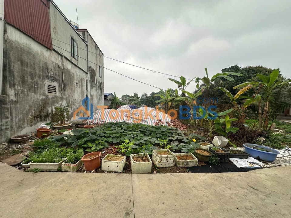 Bán đất Sơn Dương, Tuyên Quang 180m² - Sổ đỏ sẵn sàng, giá hơn 2 tỷ