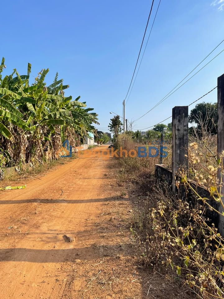 Đất nền Đức Tín, Bình Thuận - 532m² Sổ đỏ sẵn, Giá đầu tư 101.4 tỷ