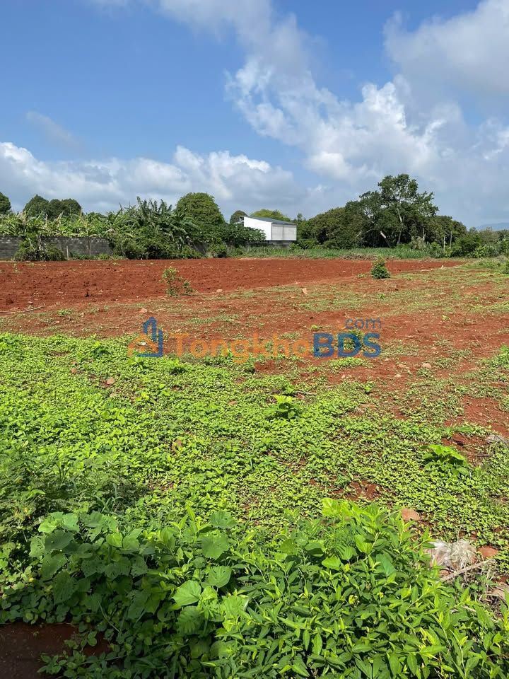 Đất nền Bà Rịa 420m² 80m thổ cư - Hạ tầng hoàn thiện