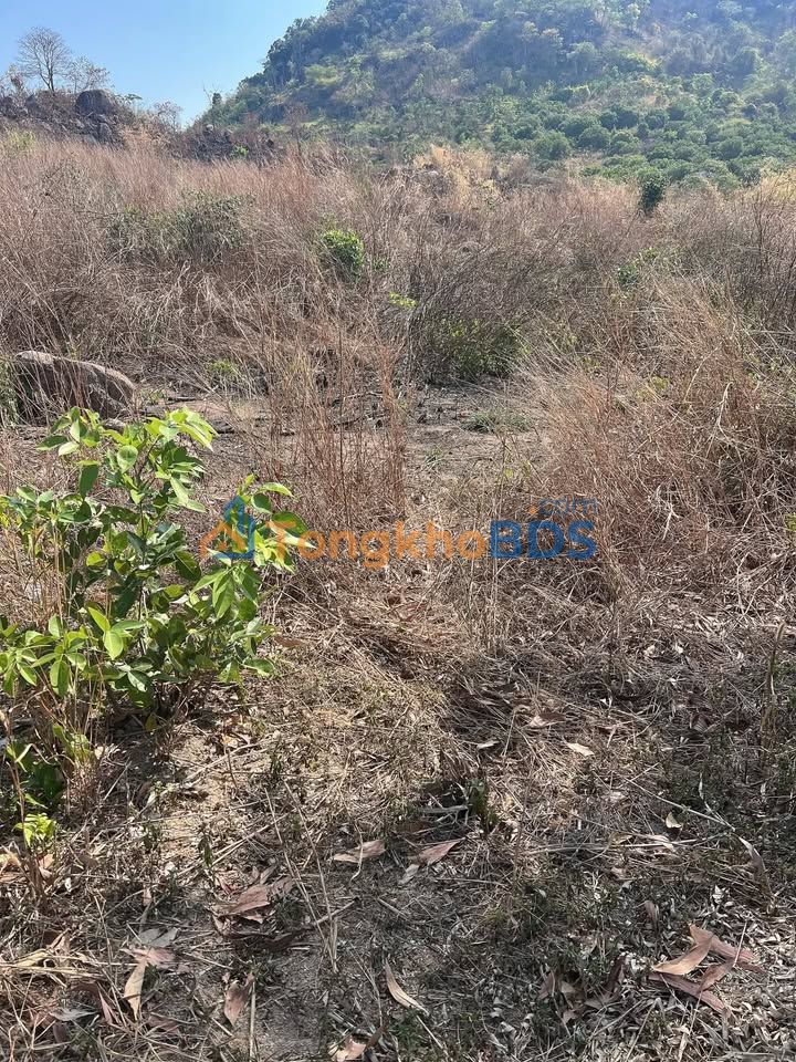 Đất nền Bàu Chinh 35.000m² 600 triệu - Giá đầu tư tốt