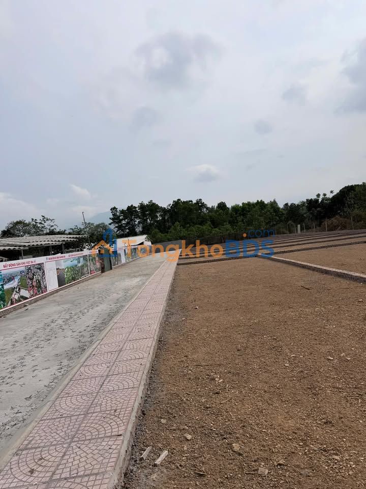 Đất Ba Vì Hà Nội 100m² 599 triệu - Sổ đỏ chính chủ