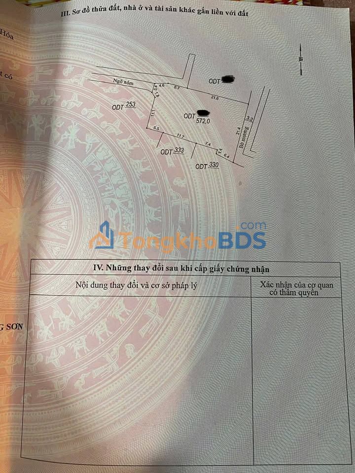 Đất nền Rừng Thông Thanh Hóa 600m² 4.8 tỷ Sổ đỏ chính chủ