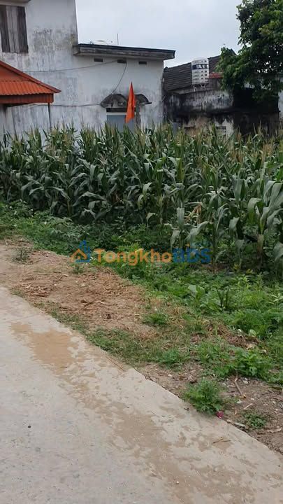 Đất nền Khánh Mậu Yên Khánh 179m2 & 105m2 - Sổ đỏ chính chủ