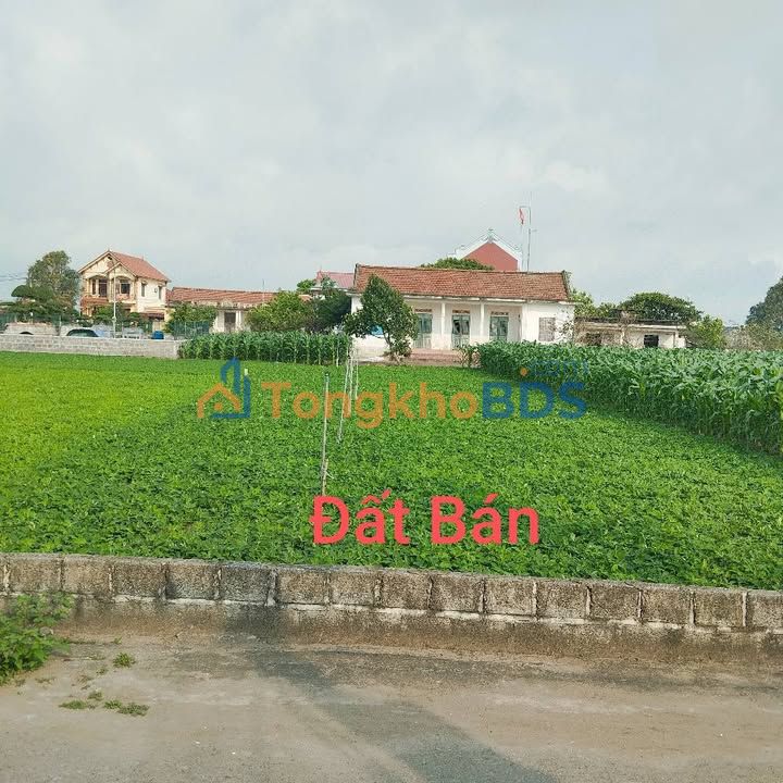 Đất nền Giao Phong 260m² Nam Định - Tiềm năng tăng giá