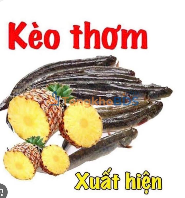 Nhà Huỳnh Thị Hai Q12 40m² 4.7 tỷ hẻm 6m - Sẵn sàng ở ngay