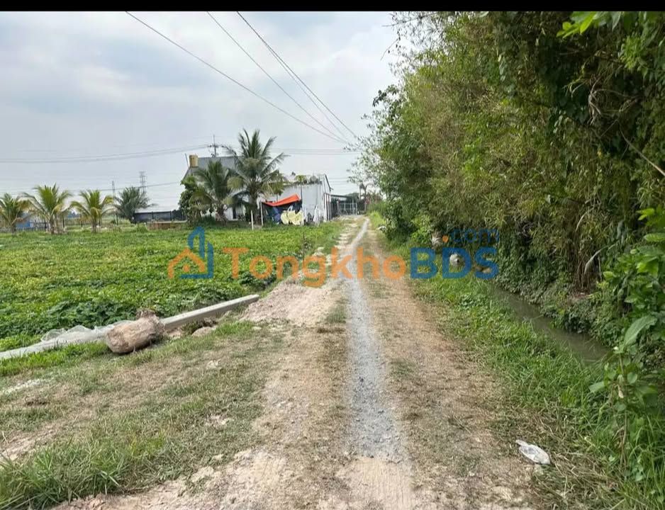 Bán Gấp Nhà Vườn Củ Chi 2000m² - Sổ Thổ Cư Sẵn Sàng