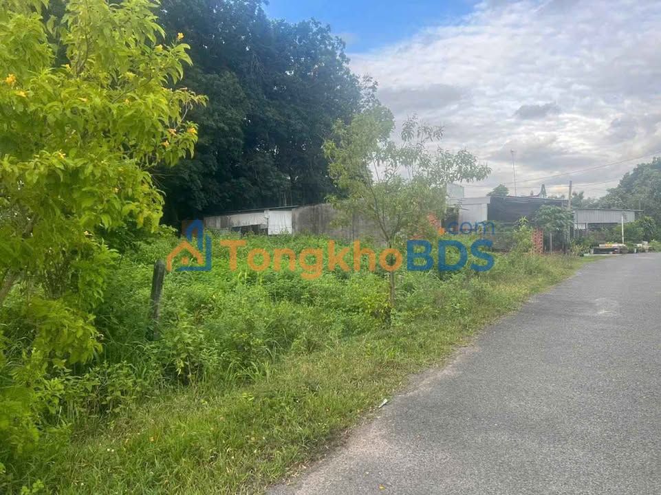 Đất nền Nhuận Đức Củ Chi 127m² 1.55 tỷ - Giá F0 CĐT