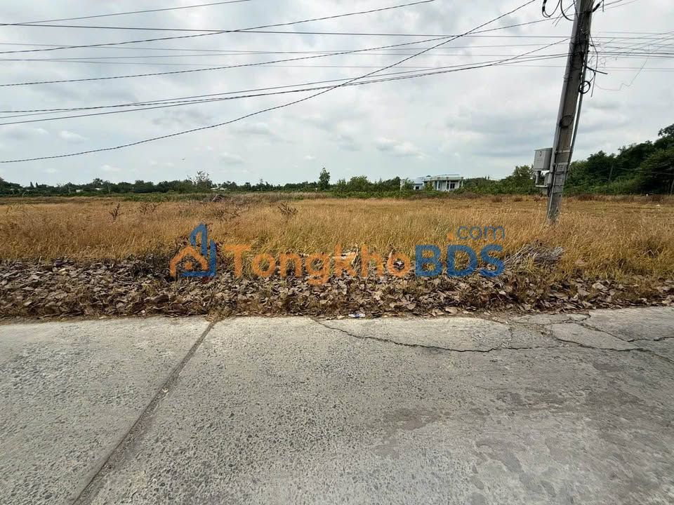 Đất nền Thị trấn Cần Đước 300m² 1.62 tỷ - Đất thổ cư 100%