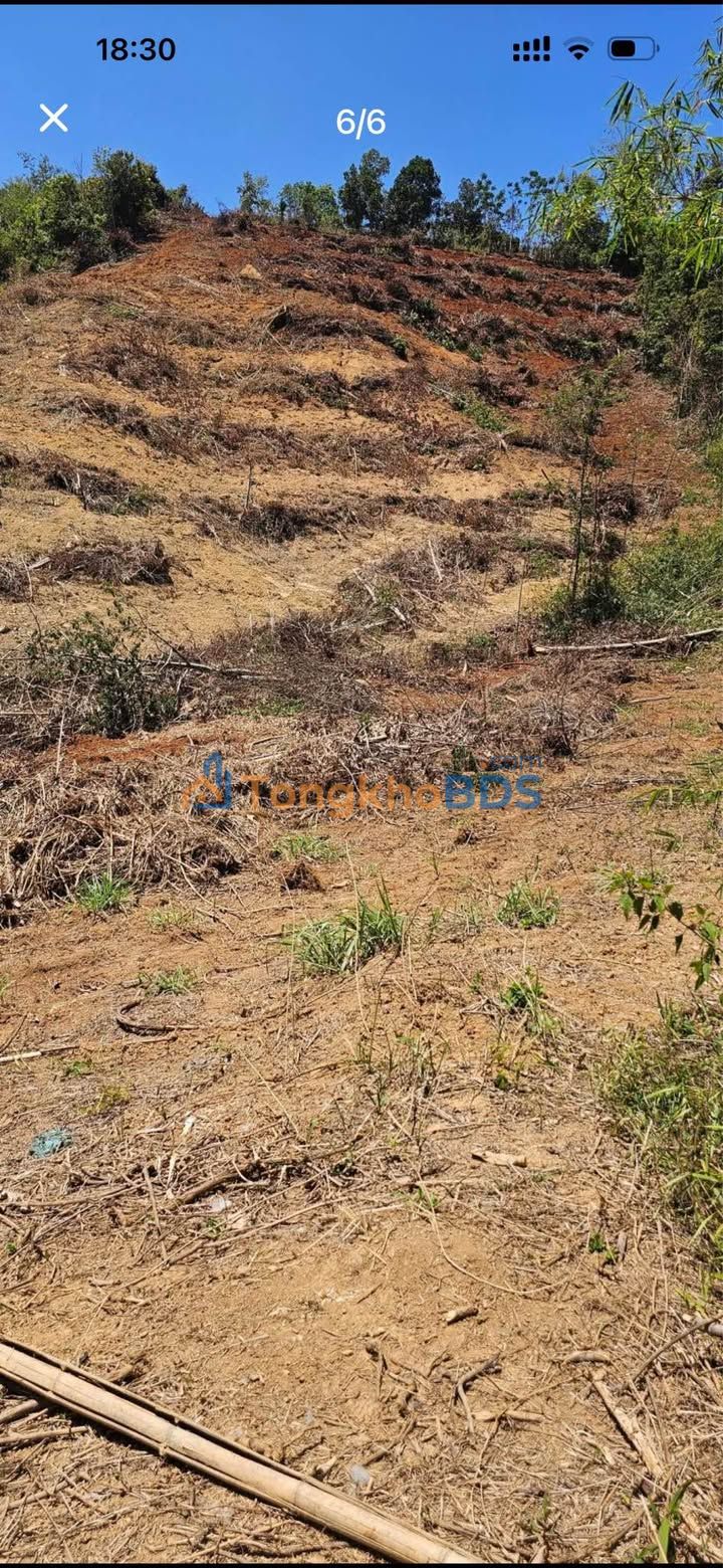 Bán Gấp 1ha Đất Vườn Trung Tâm Gia Nghĩa, Đắk Nông - Sổ Đỏ Sẵn Sàng