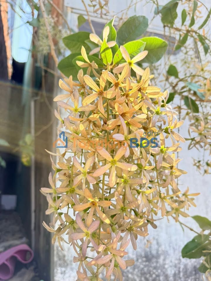 Đất nền Phú An Pleiku 200m² giá 1 tỷ - Sổ đỏ chính chủ