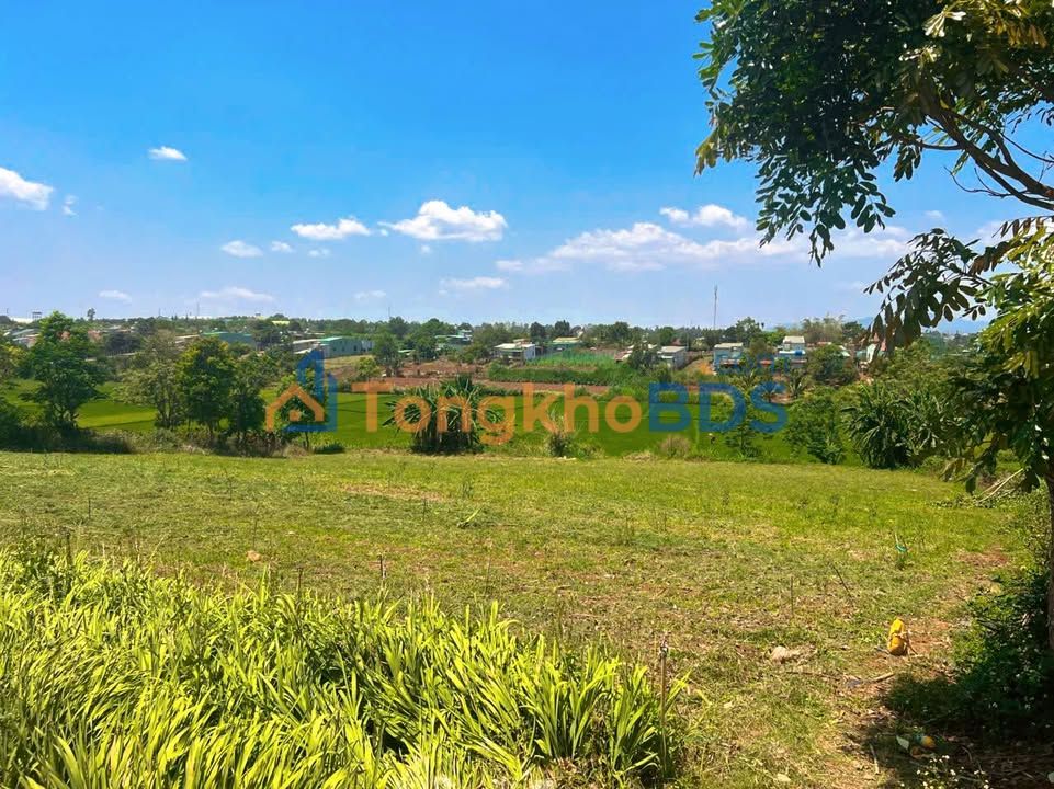 Đất nền Pleiku An Phú 1080m² 2.9 tỷ - Sổ đỏ chính chủ