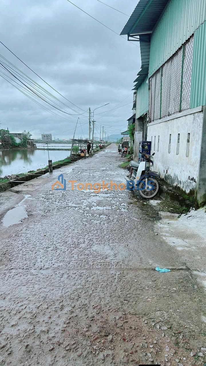 Đất Nền Phước Thuận 125m² - View Ruộng Thoáng Đãng - Giá Đầu Tư