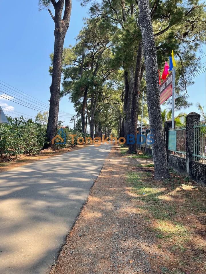 Đất Lê Văn Sỹ Pleiku 1.000m² giá 200 tỷ - Đường to ô tô