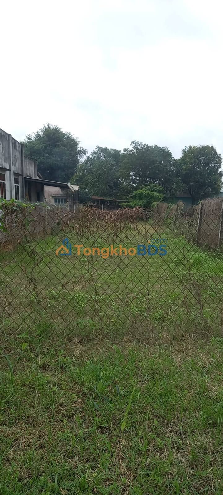 Đất nền Trảng Bàng 162m² đường lớn – Giá tốt hiếm có