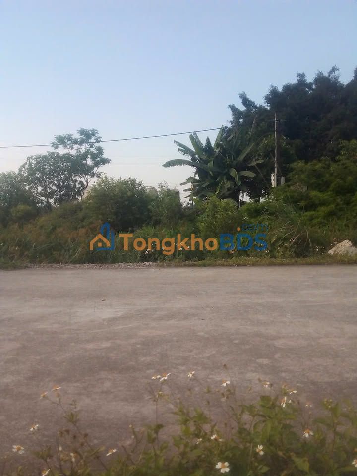 Đất nền Dương Hạ Mỹ Đức 70m² giá thỏa thuận - Sổ đỏ chính chủ