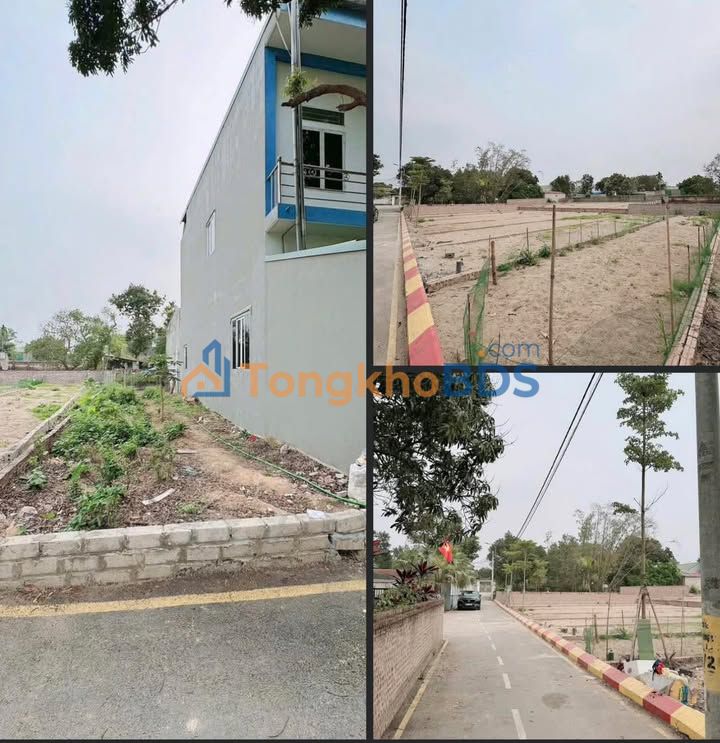 Đất nền Triều Đông Cổ Đông 123m² 246 triệu - Sổ đỏ