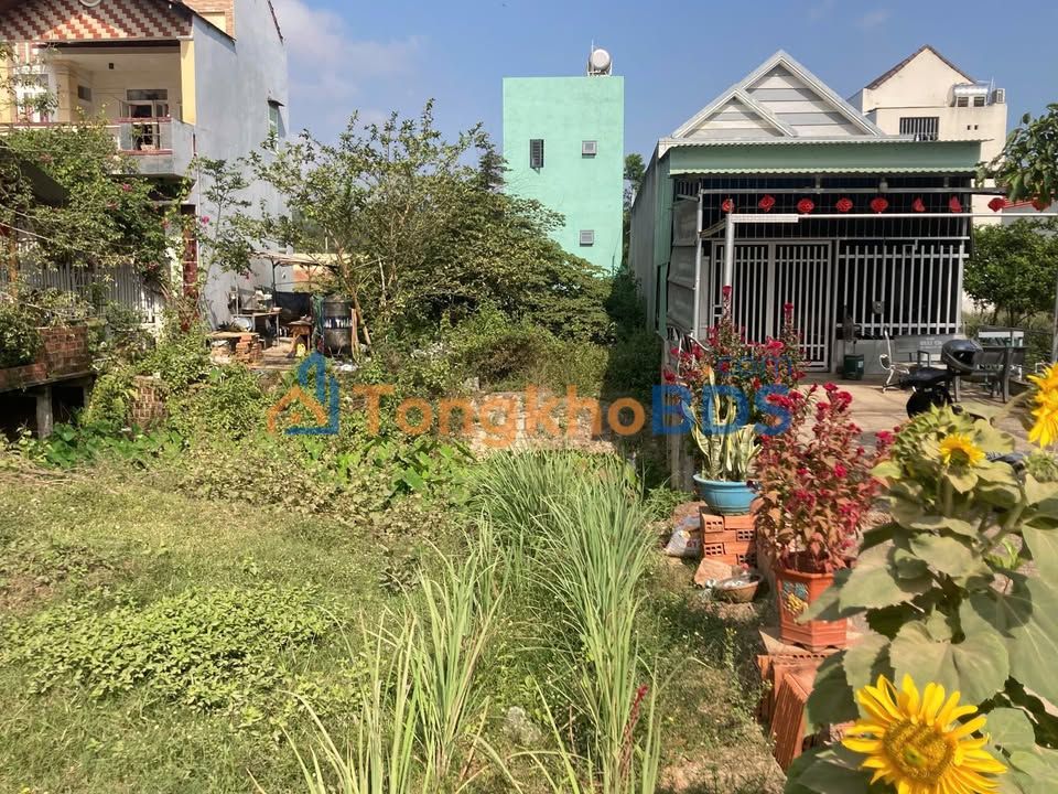 Đất nền Phù Cát QL19B 100m² 2.1 tỷ - Sổ đỏ chính chủ