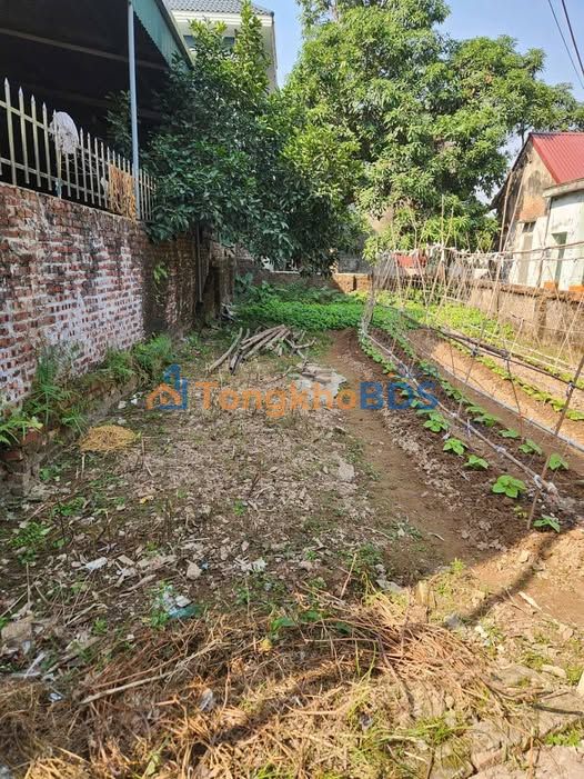 Bán Đất 113.6m² Đồng Hoà, Hải Phòng - Ngõ Ô Tô, Gần Chợ, Giá 1 Tỷ