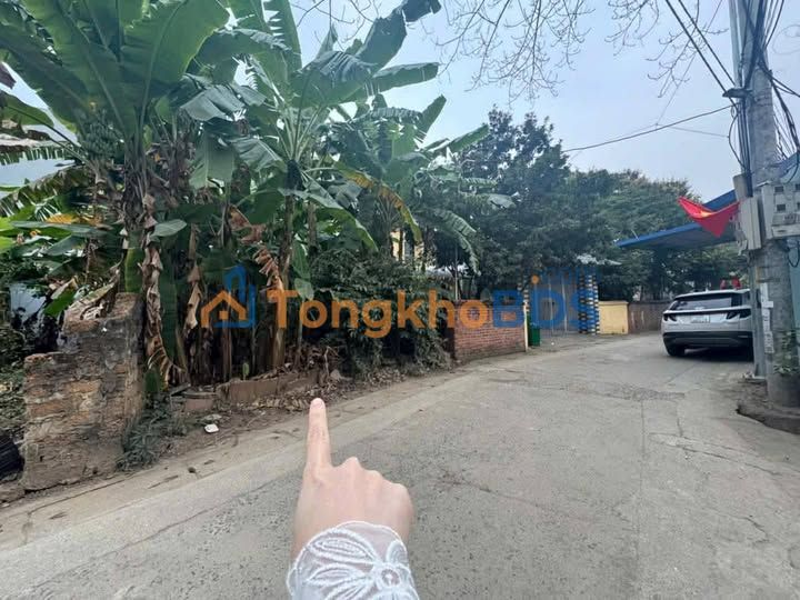 Đất Thôn 2 Tân Xã 93m² giá thỏa thuận - Đường to ô tô
