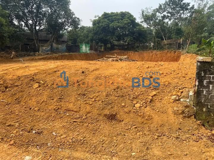 Đất F0 Phú Xuân, Bình Xuyên 200m² - Mặt tiền 7.5m, Giá 1.2 Tỷ