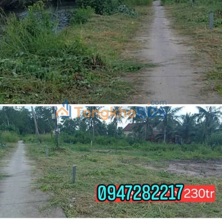 Đất nền Ấp Cái Rắn Phú Hưng 208m² 230 triệu - Pháp lý rõ ràng