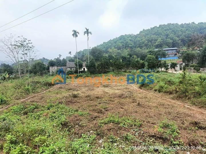 Đất thổ cư Ba Vì 350m² giá đầu tư - Sổ đỏ chính chủ