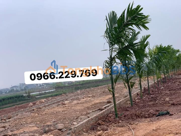 Đất nền QL32C Phú Thọ 103m² từ 1 tỷ - Sổ đỏ chính chủ