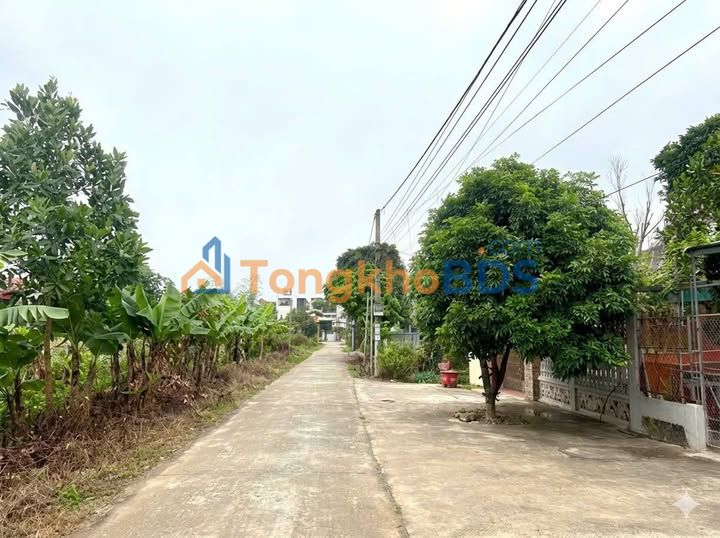 Bán đất Đông Hoàng, Đông Hưng 120m² - 1,x tỷ, ô tô tránh