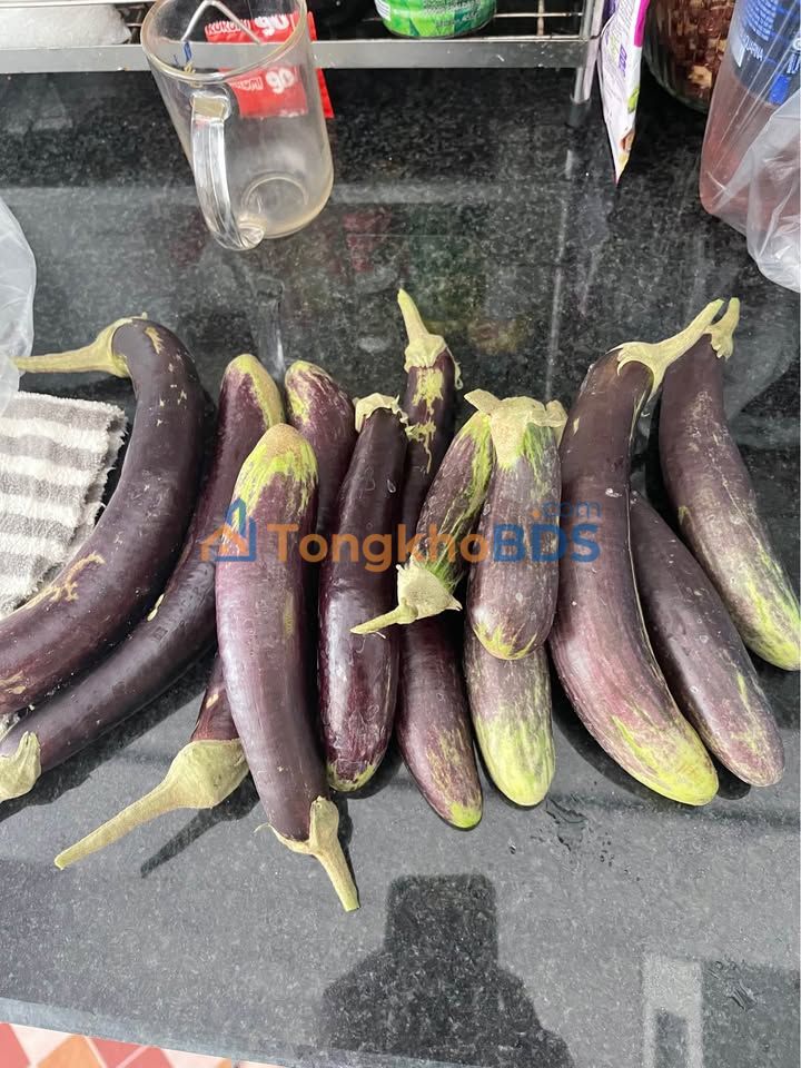 Đất nền mặt tiền kinh doanh 66.8m² tại Đặng Cương, Hải Phòng - Giá 2.x tỷ