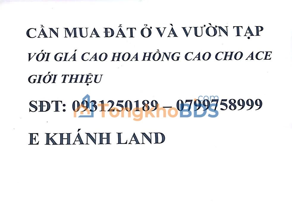 Đất Quốc Tuấn An Lão 550m² - Tiềm năng tăng giá