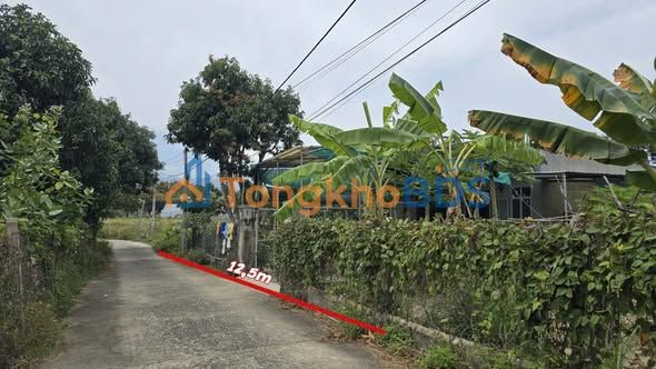 Bán Gấp Đất Vườn 600m² Cam Hải Tây, Khánh Hoà - Sẵn Nhà Ở Ngay