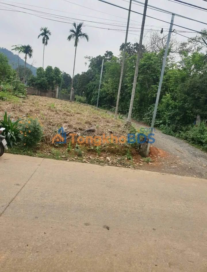 Đất nền Ba Vì Yên Bài 258m² giá 2 tỷ - Sổ đỏ chính chủ