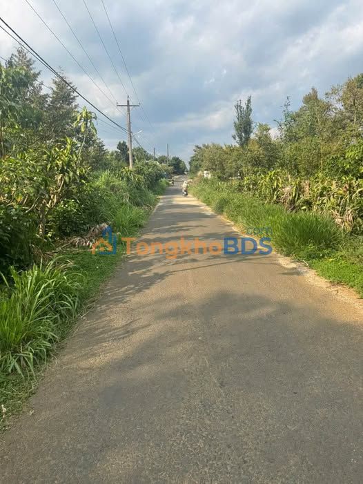 Bán đất vàng Tuy Đức 1800m² mặt tiền đường nhựa - Sổ hồng sẵn