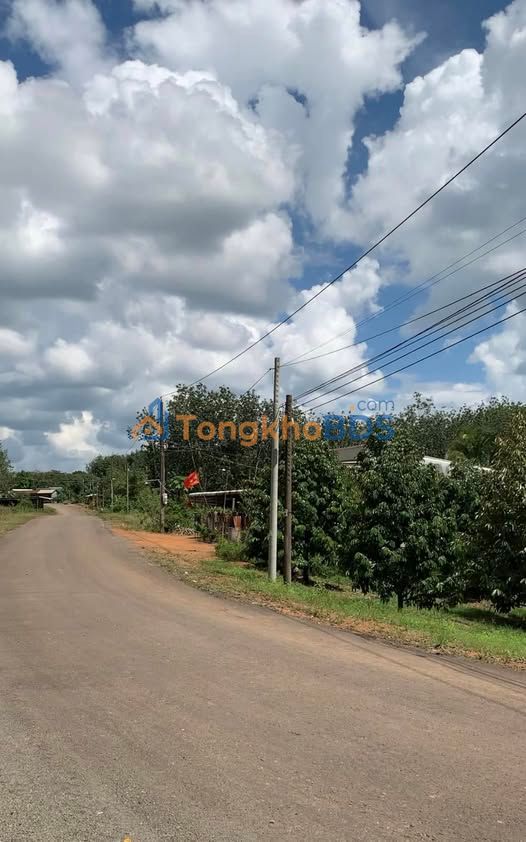 Biệt Thự Sân Vườn Tân Lập - Bắc Cường 555m² - Giá Đầu Tư 36 Tỷ