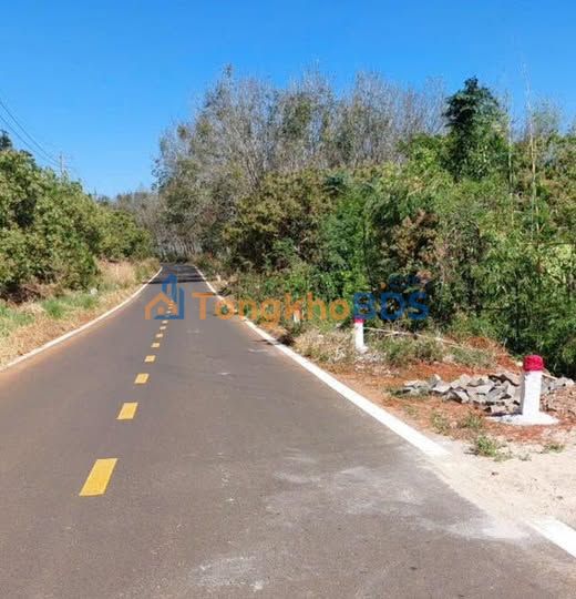 Bán Gấp Biệt Thự Mặt Tiền 15m Tại Bắc Cường, Lào Cai - 568m²