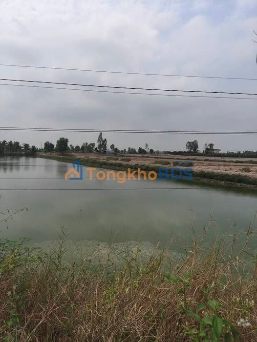 Đất nền Tam Nông Đồng Tháp 1ha - Đường ô tô lớn đầu tư