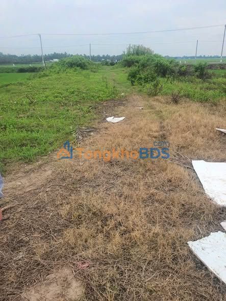 Đất nền TL934B Trần Đề 1.280m² 5.4 tỷ - Sổ đỏ chính chủ